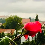 Pirna-panorama *