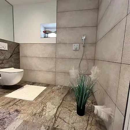 Pirna-panorama * Pirna