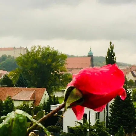 Pirna-panorama *