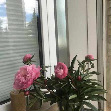 Appartement Pirna-panorama