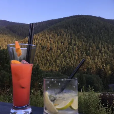 Pirna-panorama Pirna