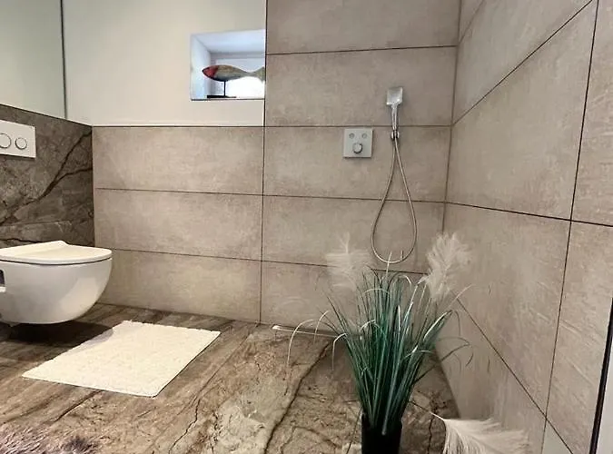 Pirna-panorama * بيرنا