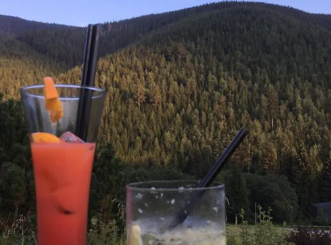 Pirna-panorama بيرنا